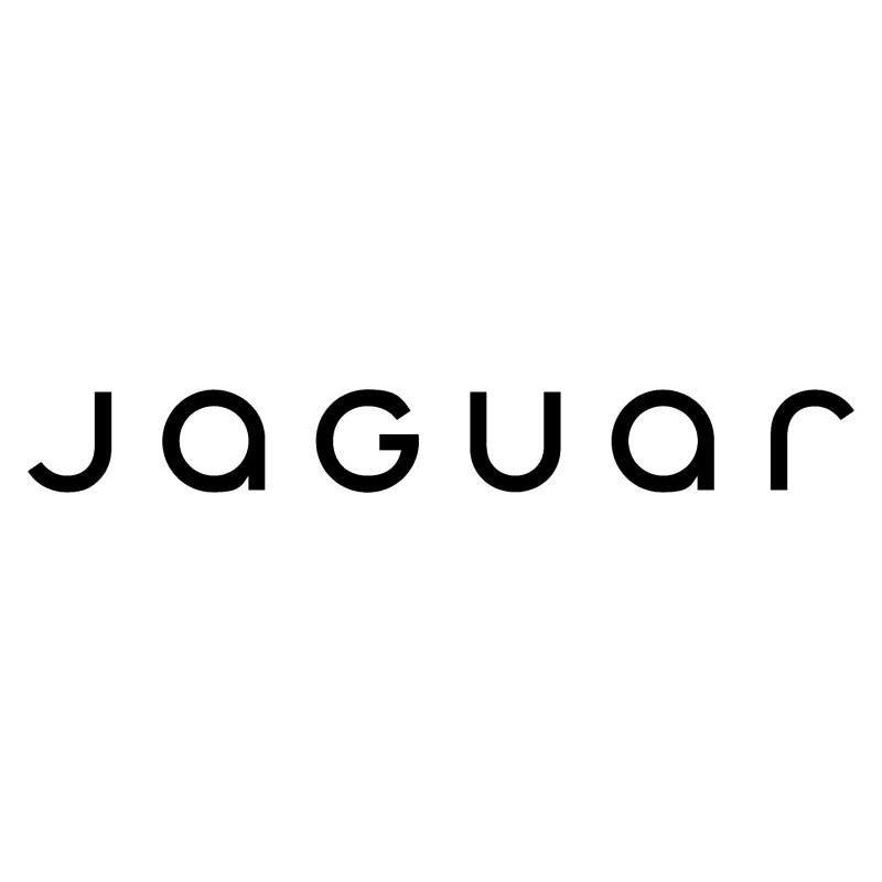 Adesivo jaguar scritta new