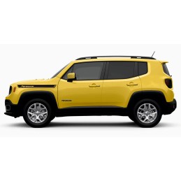 Adesivo fascia JEPP...