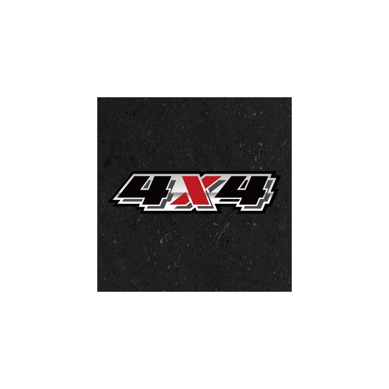Adesivo 4x4 V9 stampato