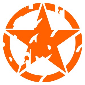Adesivo stella US ARMY consumata v2