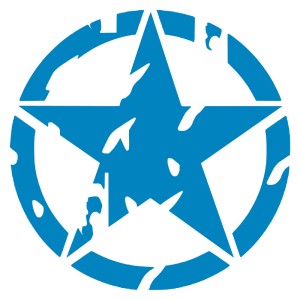 Adesivo stella US ARMY consumata v2