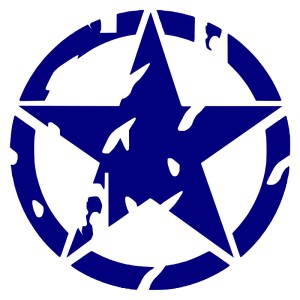 Adesivo stella US ARMY consumata v2