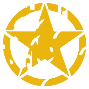 Adesivo stella US ARMY consumata v2