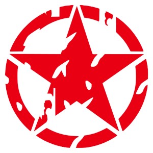 Adesivo stella US ARMY consumata v2