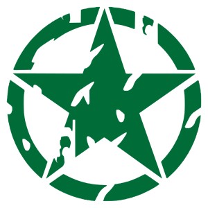 Adesivo stella US ARMY consumata v2