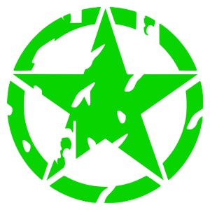 Adesivo stella US ARMY consumata v2