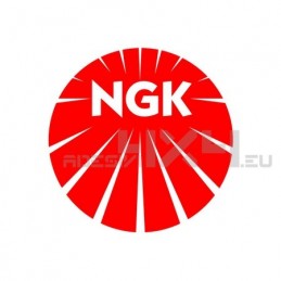 Adesivo NGK logo